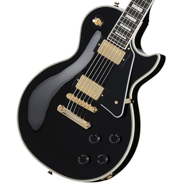 Amazon.co.jp: 940-ENLPCS Case for Epiphone Les Paul Standard