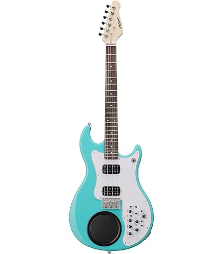 Amazon | FERNANDES ZO-3 芸達者 '19 2TS フェルナンデス アンプ内蔵