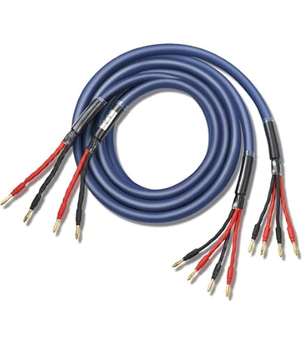 k4B-2Bバイワイヤスピーカーケーブル バナナプラグ2 - 4 230K705