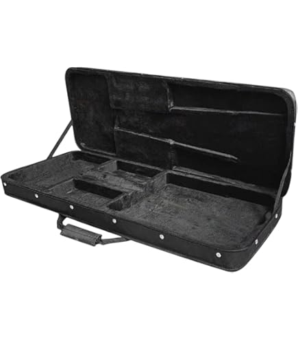 Amazon.co.jp: FERNANDES ZO-3用ソフトケース : 楽器・音響機器