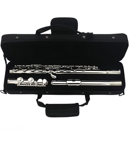 Amazon | 【国内正規品】 PLAYTECH プレイテック アルトフルート