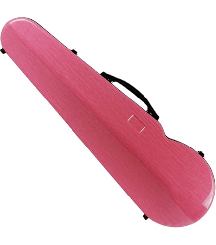 Amazon | WXQ3 / 4、4 / 4バイオリンケースハードシェル、湿度計付き