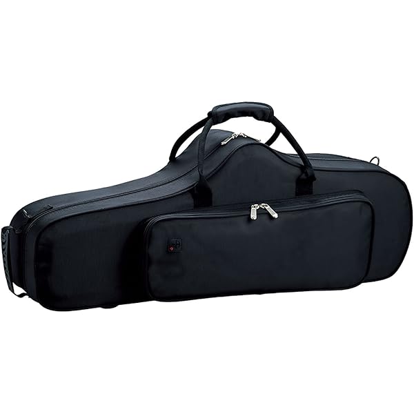 Amazon.co.jp: PLAYTECH (プレイテック) テナーサックス用セミハード