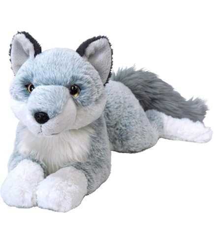 Amazon.co.jp: タヌキとキツネ もっちぃもっちぃ ぬいぐるみ M mocchi