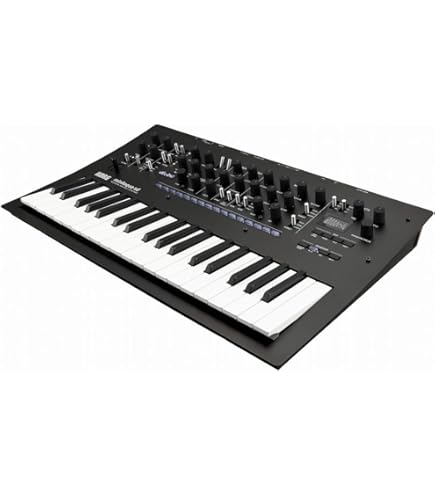 Amazon.co.jp: KORG コルグ 61鍵 ミニ・キーボード搭載 シンセサイザー