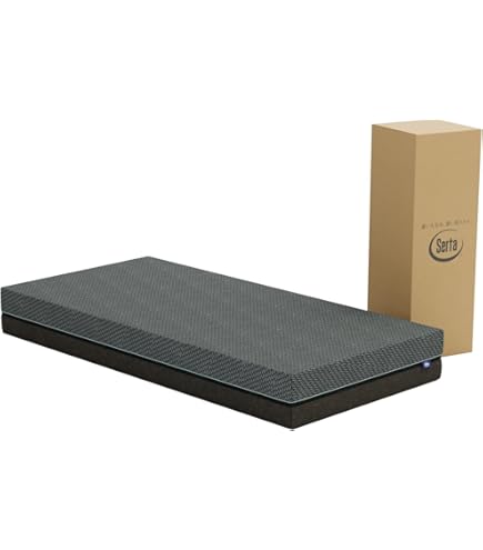 Amazon.co.jp: Serta(サータ) サータ トラディション ピローソフト1