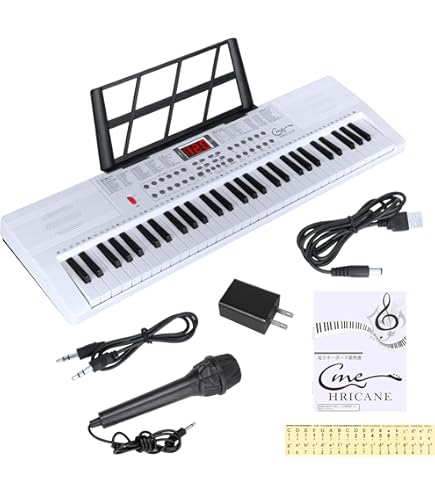 CASIO LK-118 キーボード Amazon.co.jp: カシオ 電子キーボード 61鍵盤