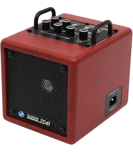 Amazon.co.jp: Laney ( レイニー ) 自宅練習用ベースアンプ RB1 : 楽器