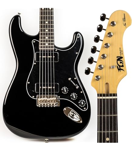 Amazon | ストラトタイプ エレキギター フジゲン 日本製 Fujigen