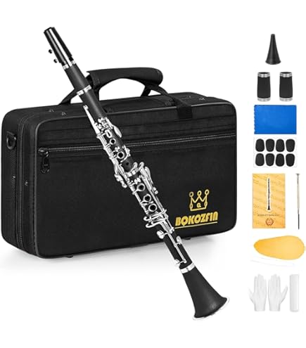 Amazon.co.jp: Buffet Crampon / E11 Eソプラニーノクラリネット