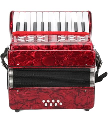 Amazon | HOHNER(ホーナー) Nova III/96 【アコーディオン