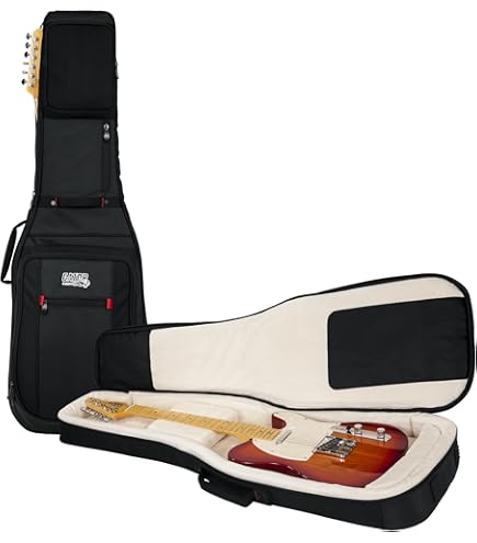 Amazon.co.jp: FERNANDES ZO-3用ソフトケース : 楽器・音響機器