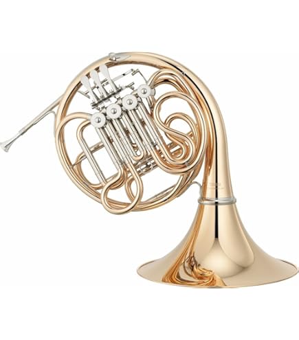 Amazon | 【国内正規品】 PLAYTECH プレイテック フレンチホルン PTHR