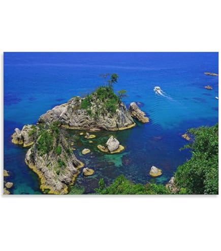 Amazon.co.jp: 杉本博司 ポスター「POLAR BEAR」(ポーラー ベア