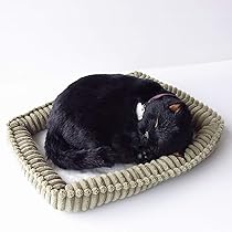 Amazon.co.jp: リアルシリーズ 日本製 リアルな猫のぬいぐるみ 58cm