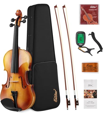 Amazon | 鈴木 アウトフィット バイオリン No.300 4/4 | バイオリン