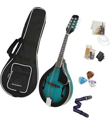 Amazon | ARIA アリア マンドリン AM-20 ハードケース付き