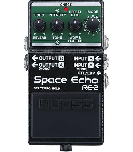 Amazon | ◇Roland◇Digital REVERB SRV 3030◇デジタルリバーブ