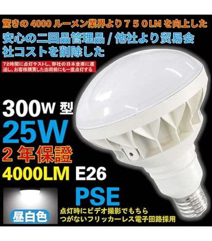 Amazon.co.jp: 岩崎 写真照明用アイランプ PRF500WD 散光デイ : ホーム