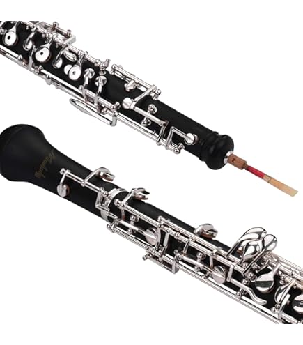 Amazon | PLAYTECH (プレイテック) セミオート オーボエ PTOB200