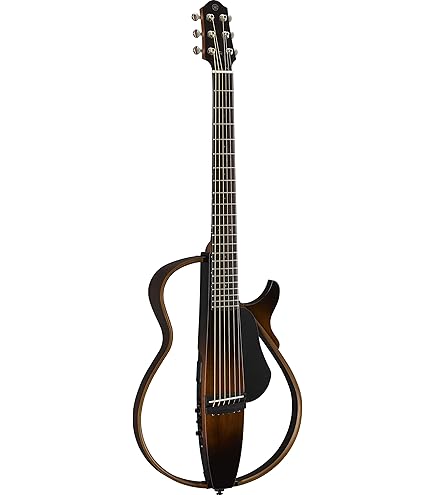 Amazon | Donner HUSH C アコースティックエレクトリックナイロン