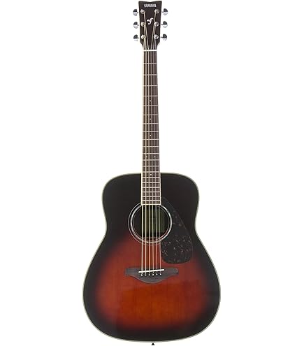 Amazon.co.jp: ヤマハ アコースティックギター FS SERIES FS720S BL