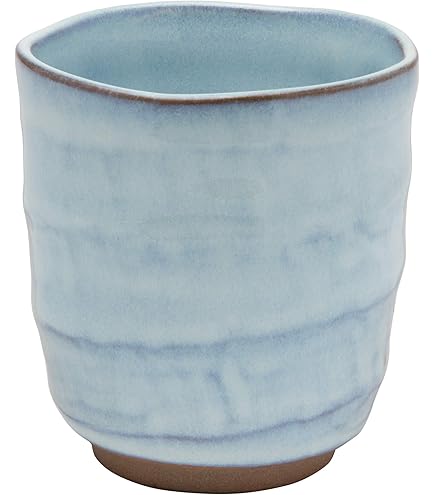 Amazon.co.jp: ポケモンセンターオリジナル 湯のみ ダルマッカごっこ