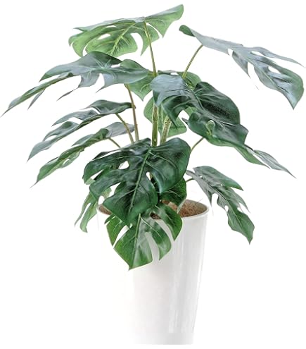 Amazon｜IKEA/イケア FEJKA/フェイカ：人工観葉植物68 cm アレカヤシ