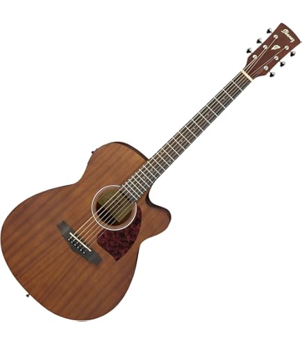 Amazon | Ibanez アイバニーズ Performance PFT2-NT Mini Dreadnought