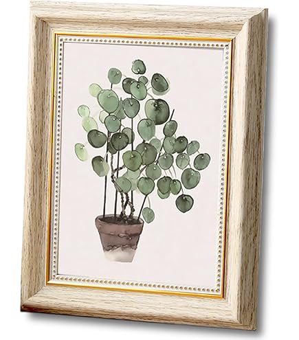 Amazon.co.jp: ワンピース 連結フォトフレーム3D新章 麦わらの一味