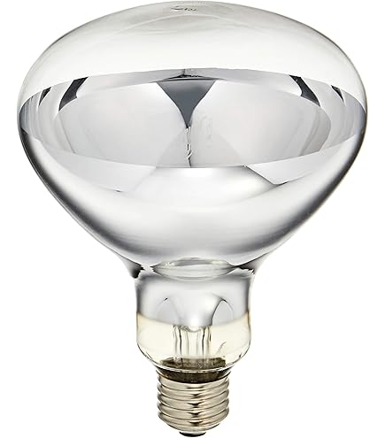 Amazon | 岩崎 屋外用レフランプ 100W型 RS110V90WH | 岩崎 | 白熱電球