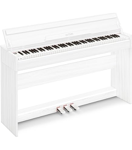 Amazon | KORG 電子ピアノ LP-380-RWBK U 88鍵 ローズウッド・ブラック