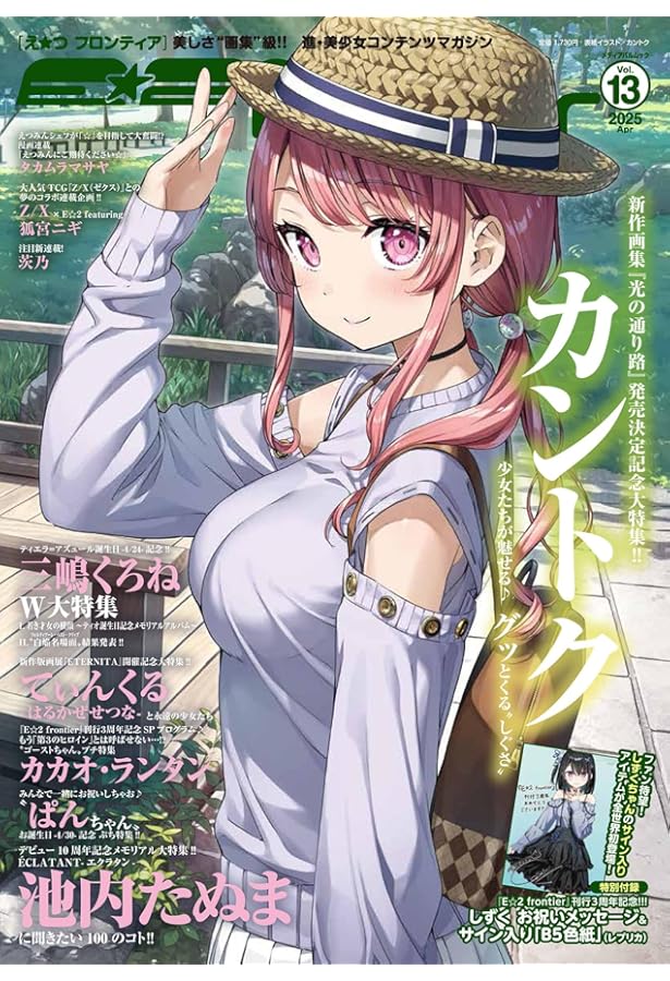 Amazon.co.jp: E☆2(えつ) frontier Vol.10 (メディアパルムック) : 本