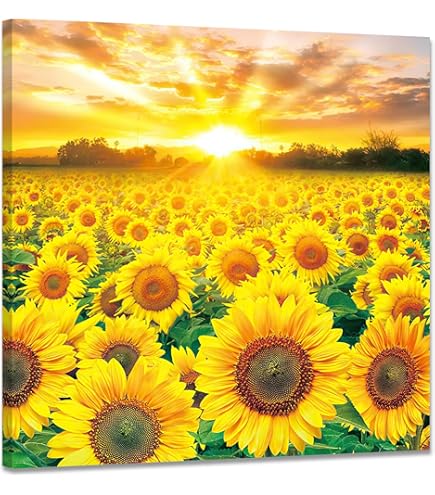 Amazon.co.jp: ヒロ・ヤマガタ そよ風に乗って インテリア 絵画 パリ