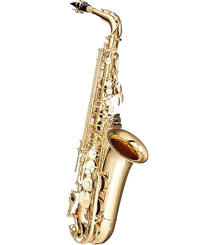 Amazon | YAMAHA YAS280 サックス アルトサックス入門セット ヤマハ
