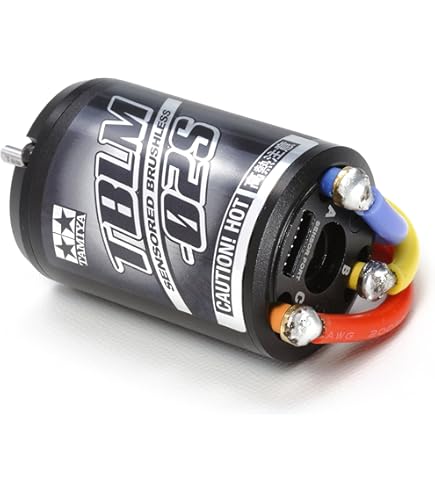 Amazon.co.jp: Tamiya LF battery LF2200-6.6V racing pack 55102