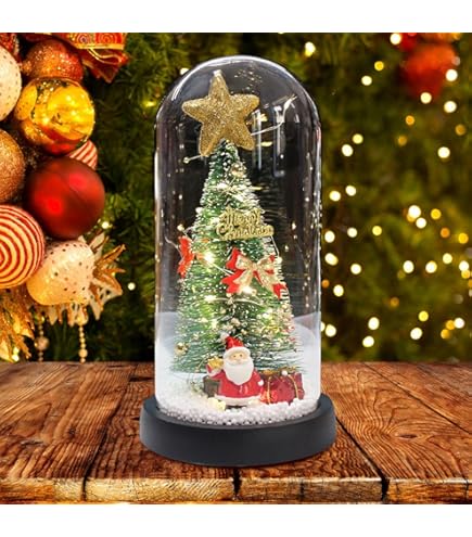 Amazon.co.jp: ウェッジウッド スノードーム 2022 : おもちゃ