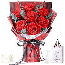 81I8KnBZ-7L._AC_UL210_SR210,