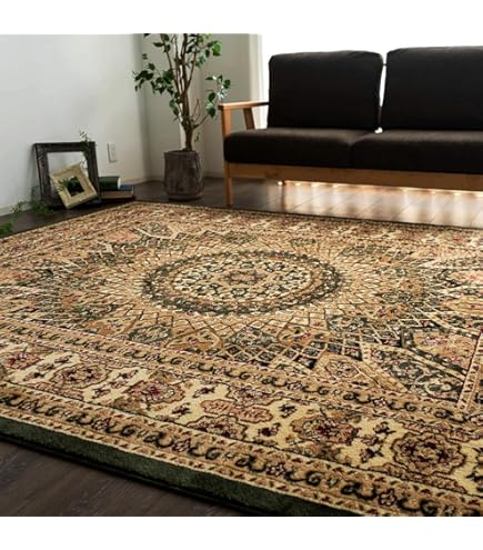 Amazon | 【ウィルトン織 ディオーネ】トルコ製・絨毯(じゅうたん