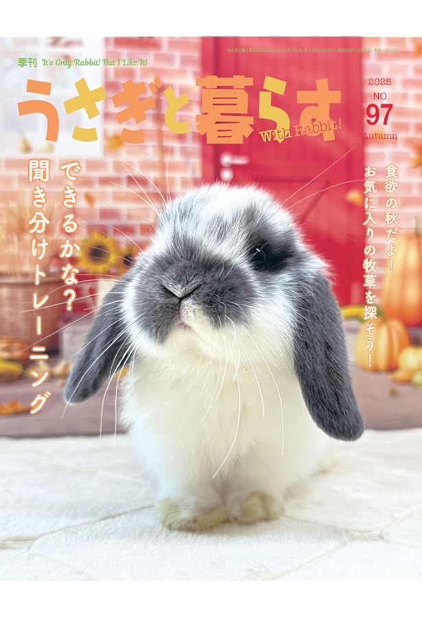 Amazon.co.jp: うさぎのきもちVOL.6 ([バラエティ]) : 東京書店: 本