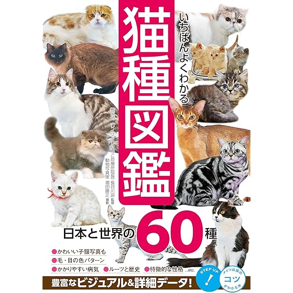 Amazon.co.jp: 子ども向けねこ図鑑: Cat Encyclopedia for Kids