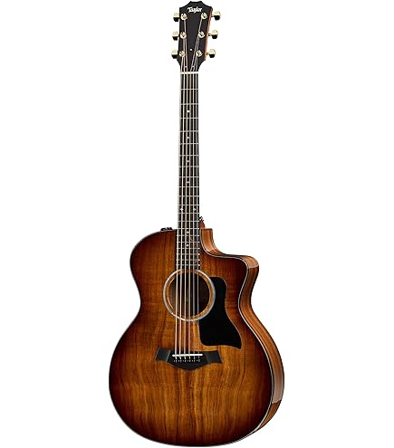 Amazon | Taylor GS Mini-e Koa エレアコギター テイラー | エレアコ
