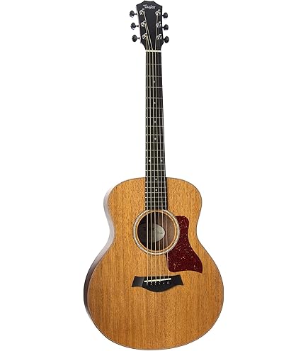 Amazon | Taylor Sapele GS Mini | スチール弦アコースティックギター