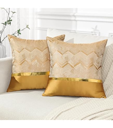 Amazon.co.jp: EUCIOR シャンパンクッションカバー 18x18インチ