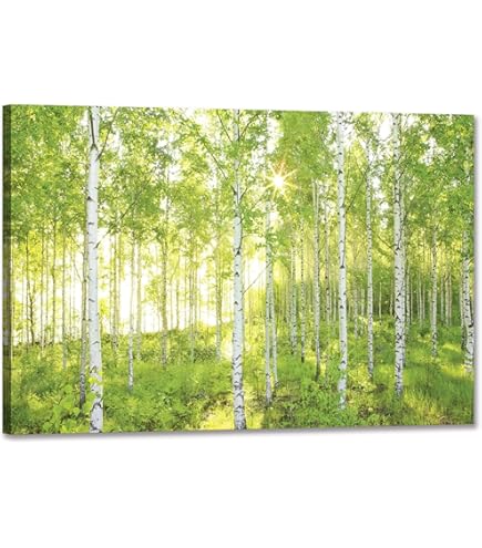 Amazon.co.jp: ロバート・ウッド［世界の名画コレクション］『山と川の