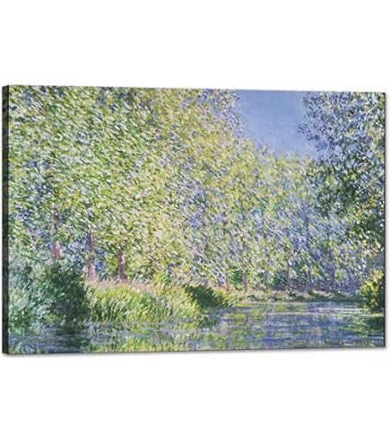 Amazon.co.jp: ◇渡辺あきお◇【ねこのフェアリー】アートプリント◇額