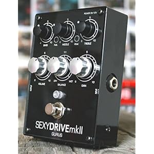 GURUS AMP SINUSOID - Fender 1963 Vibroverbに内蔵されていたリバーブ