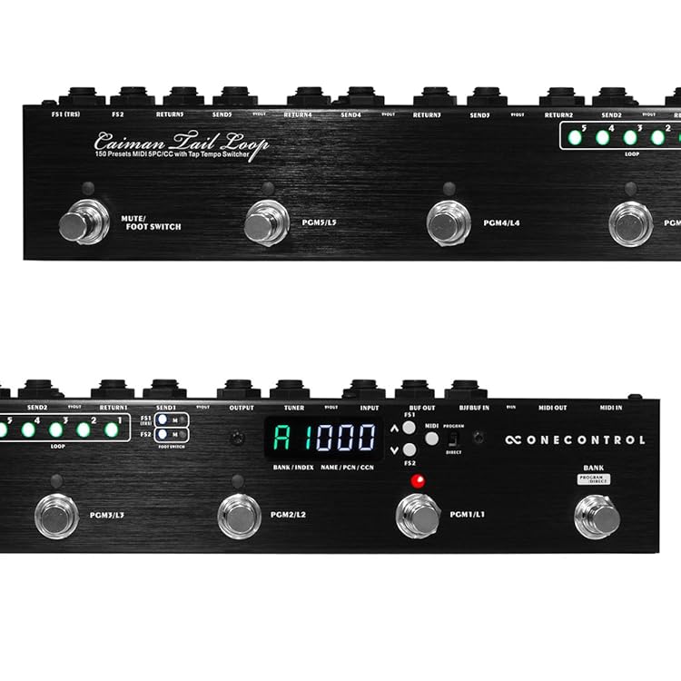 One Control Caiman Tail Loop - パワーサプライ、バッファなど様々な