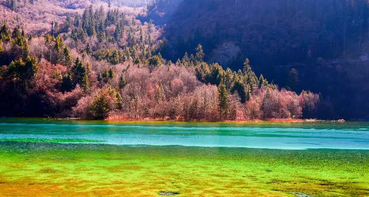 九寨溝黄龍旅行・ツアー｜大自然が生んだ夢幻な世界へ-AraChina中国旅行