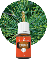 ヤングリビング セイクレッドマウンテン 15ml | ヤングリビング精油